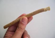 A traditional miswak chewing stick used for oral hygiene